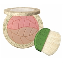 PHYSICIANS FORMULA 2-in-1 Bronzer&Blush