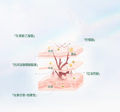 CJ祛斑霜有效果吗？CJ祛斑霜成分有哪些